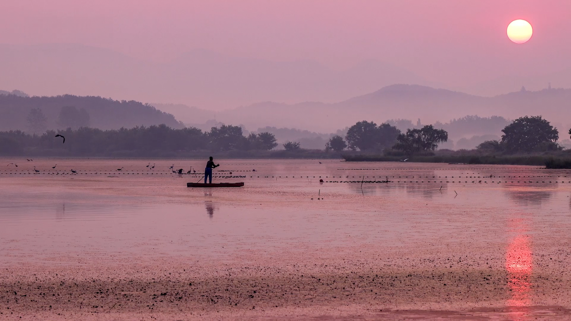 어부, 늪의 소리를 담다. 우포늪