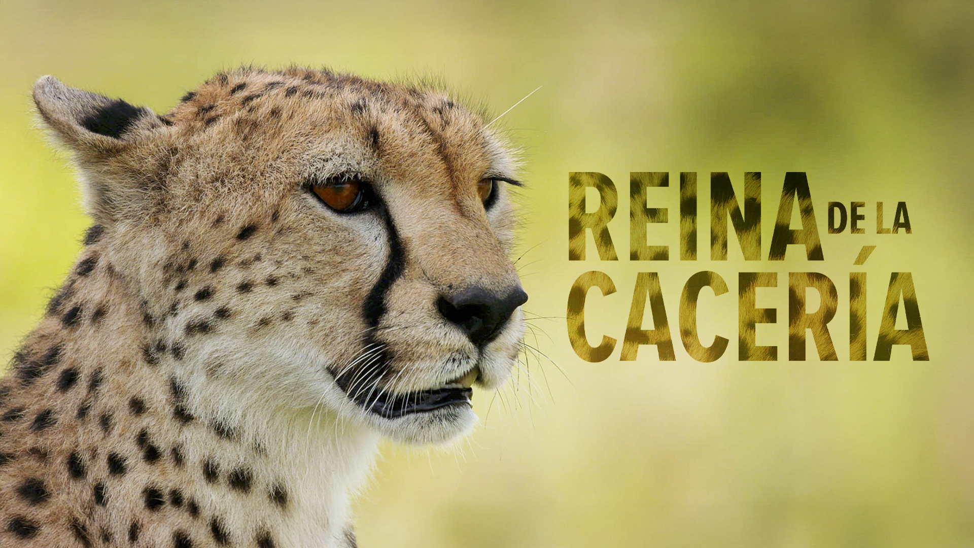 Reina de la cacería