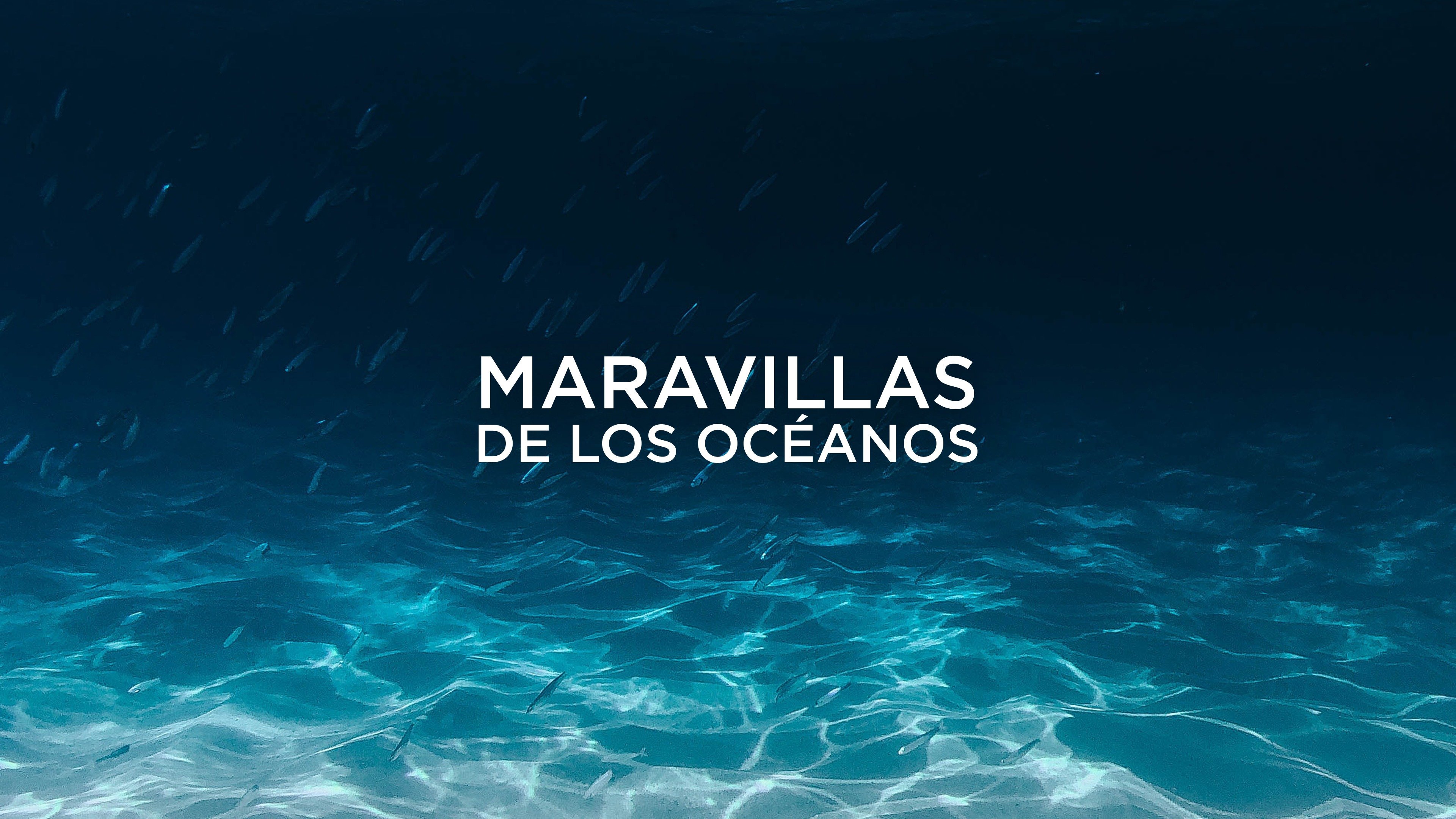 Wonders of the Ocean