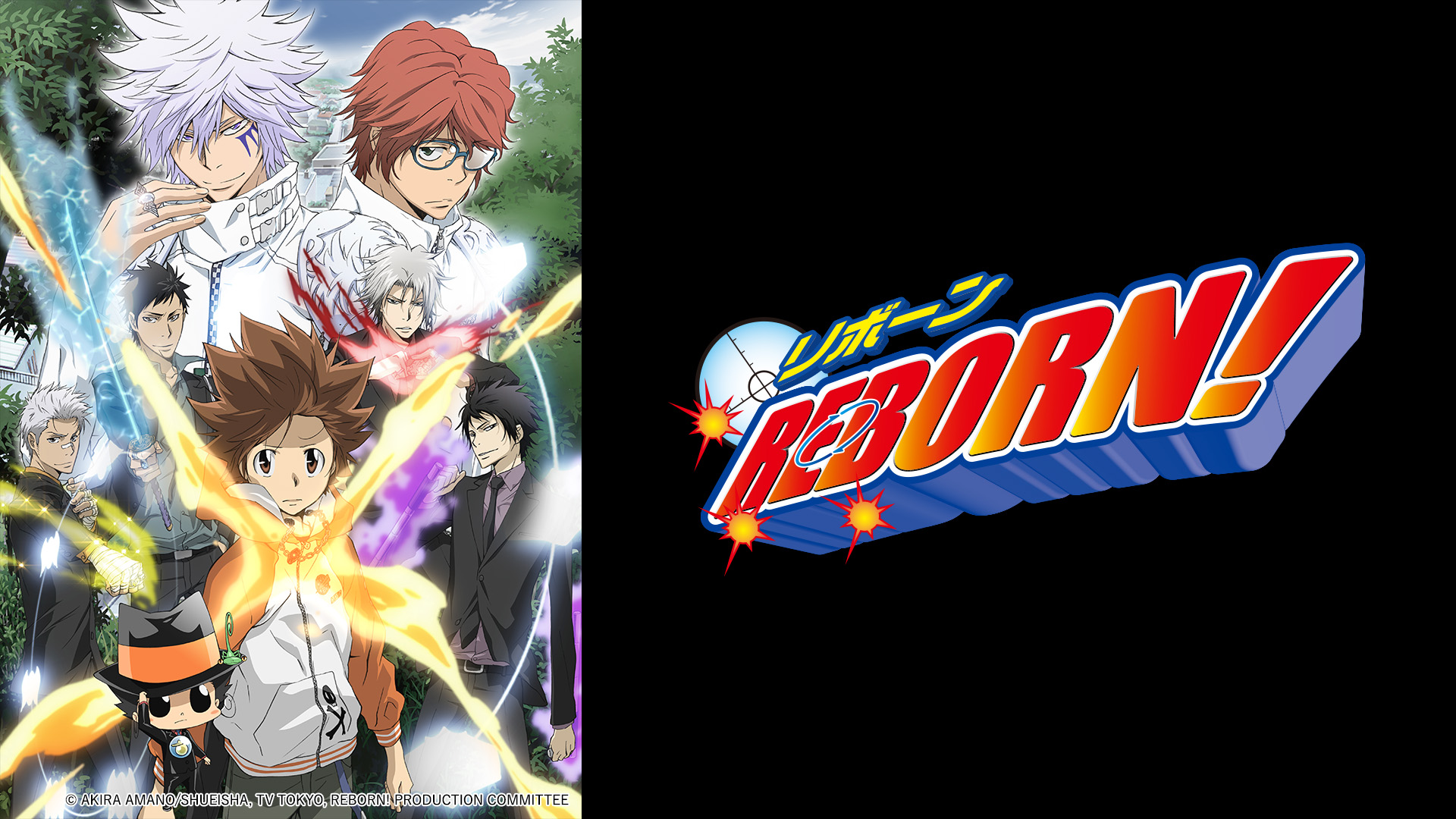 REBORN!