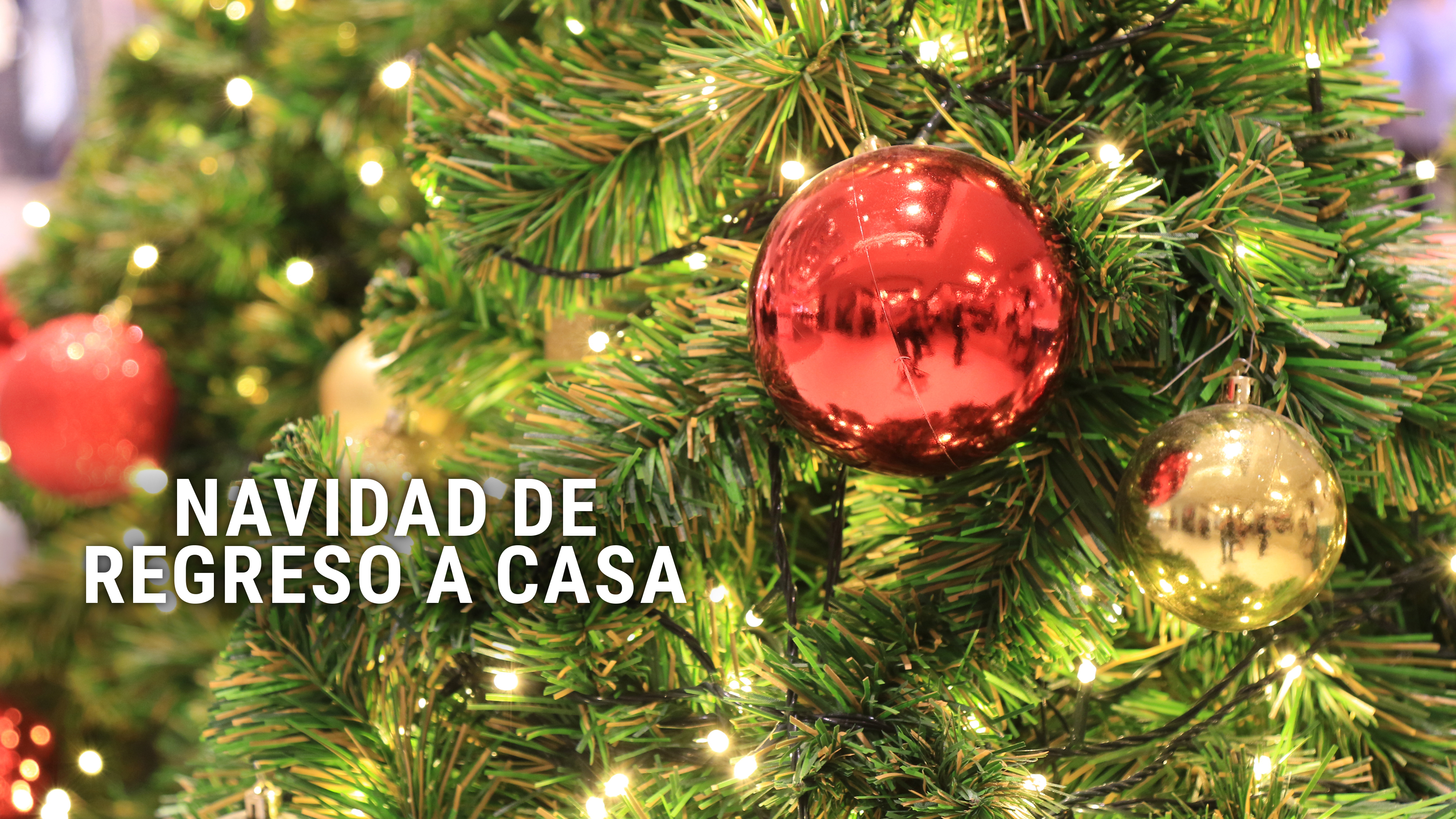 Navidad de regreso a casa