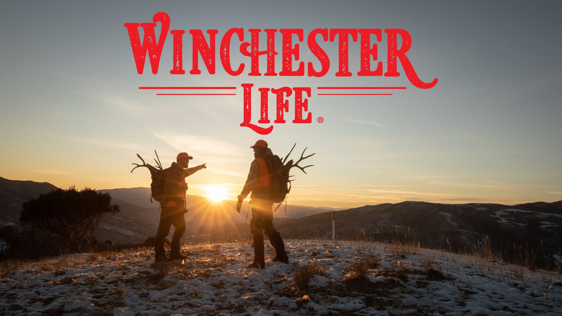 Winchester Life