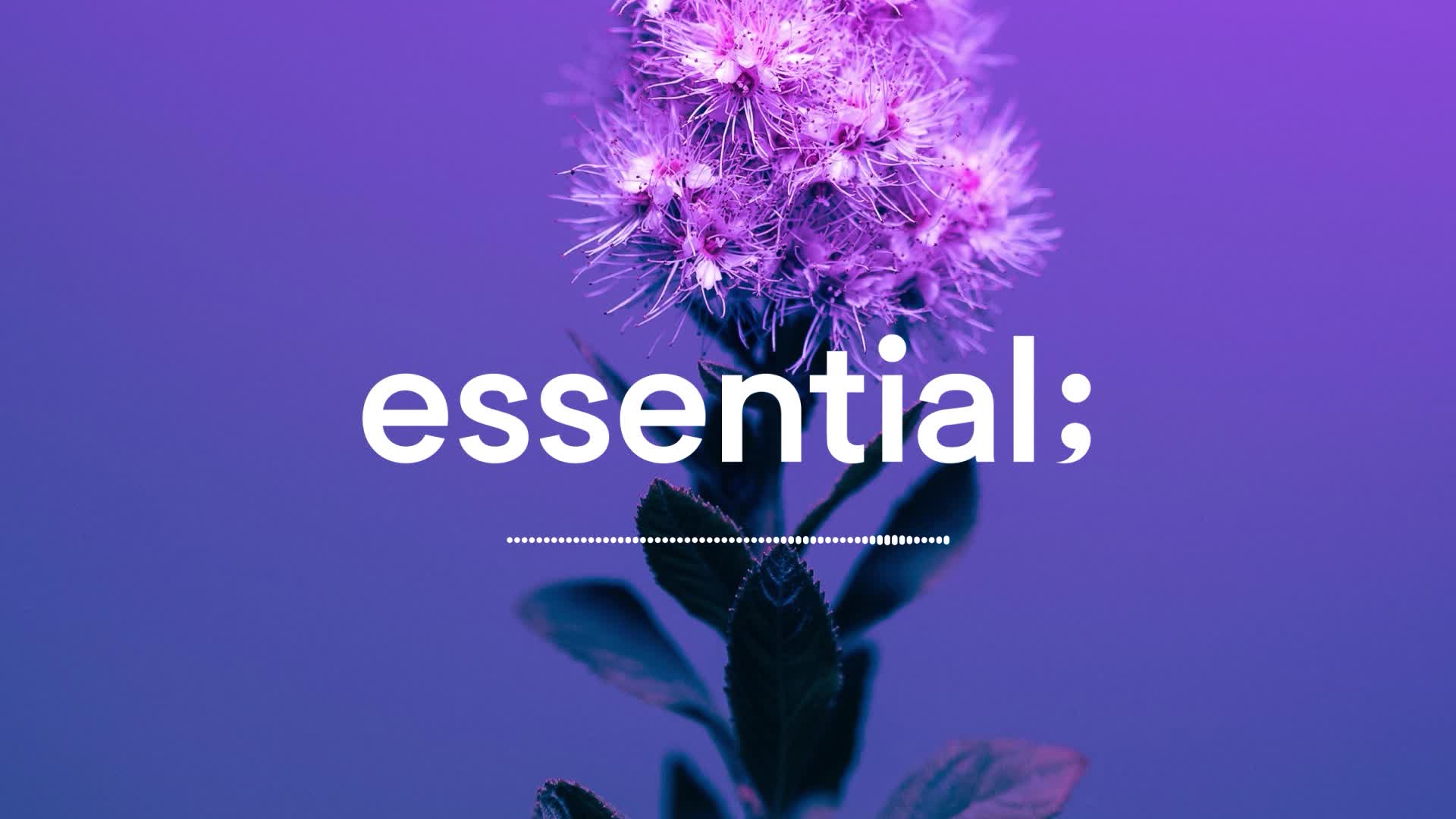 시간의 흐름이 멈출 때