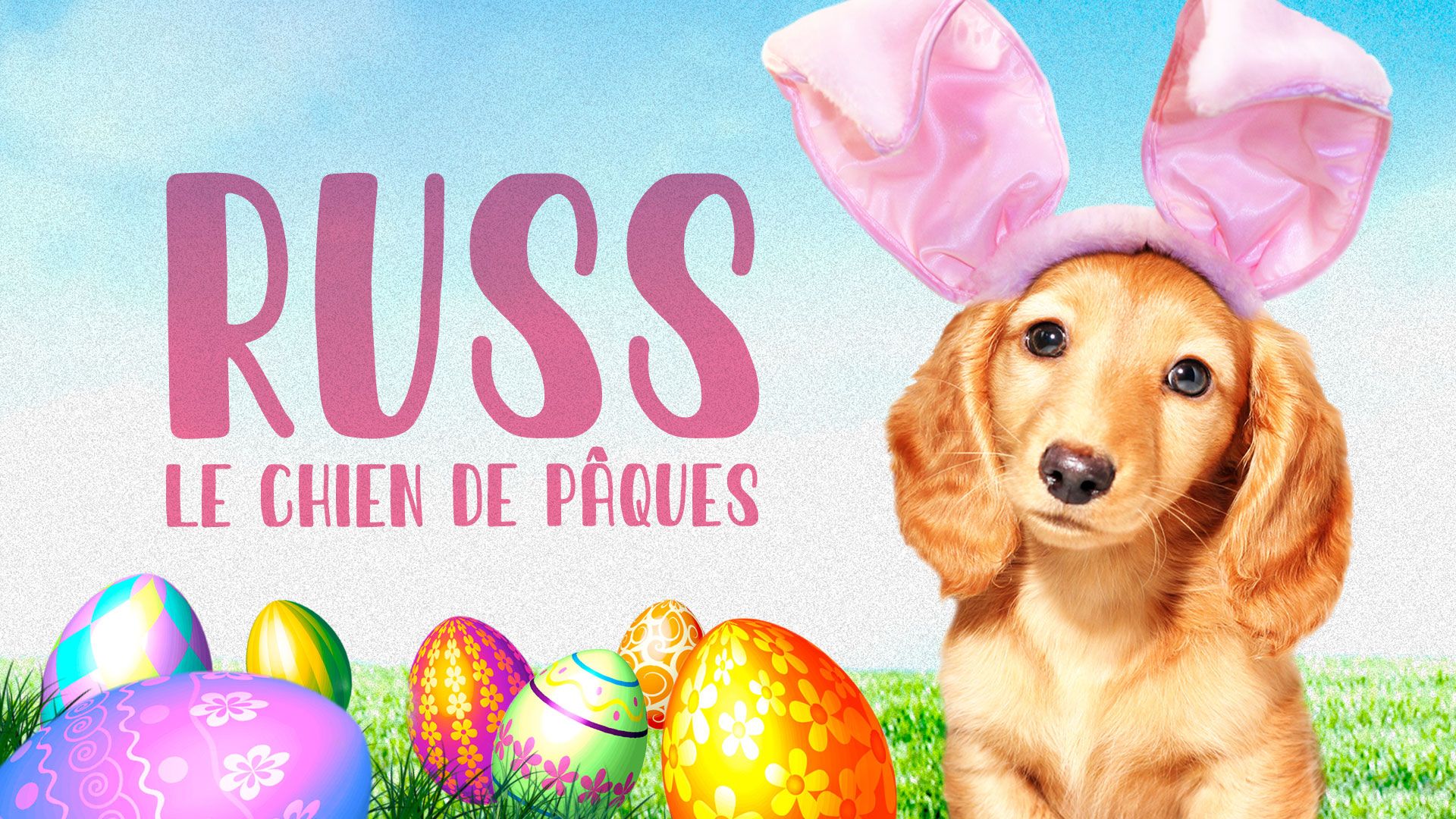Russ le chien de Pâques