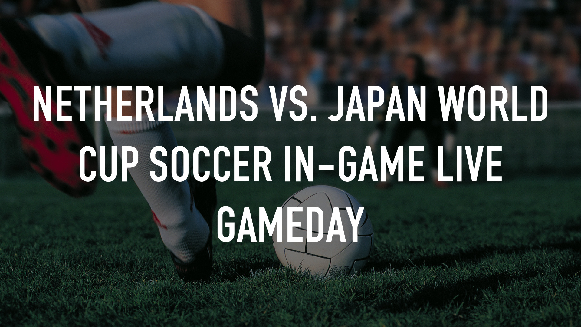 Netherlands vs. Japan World Cup Soccer In-Game Live Gameday