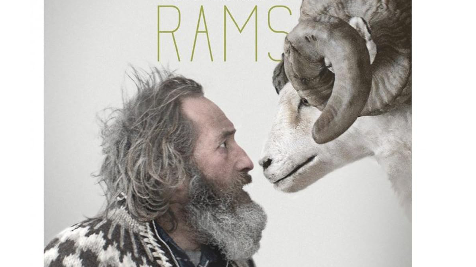 Rams