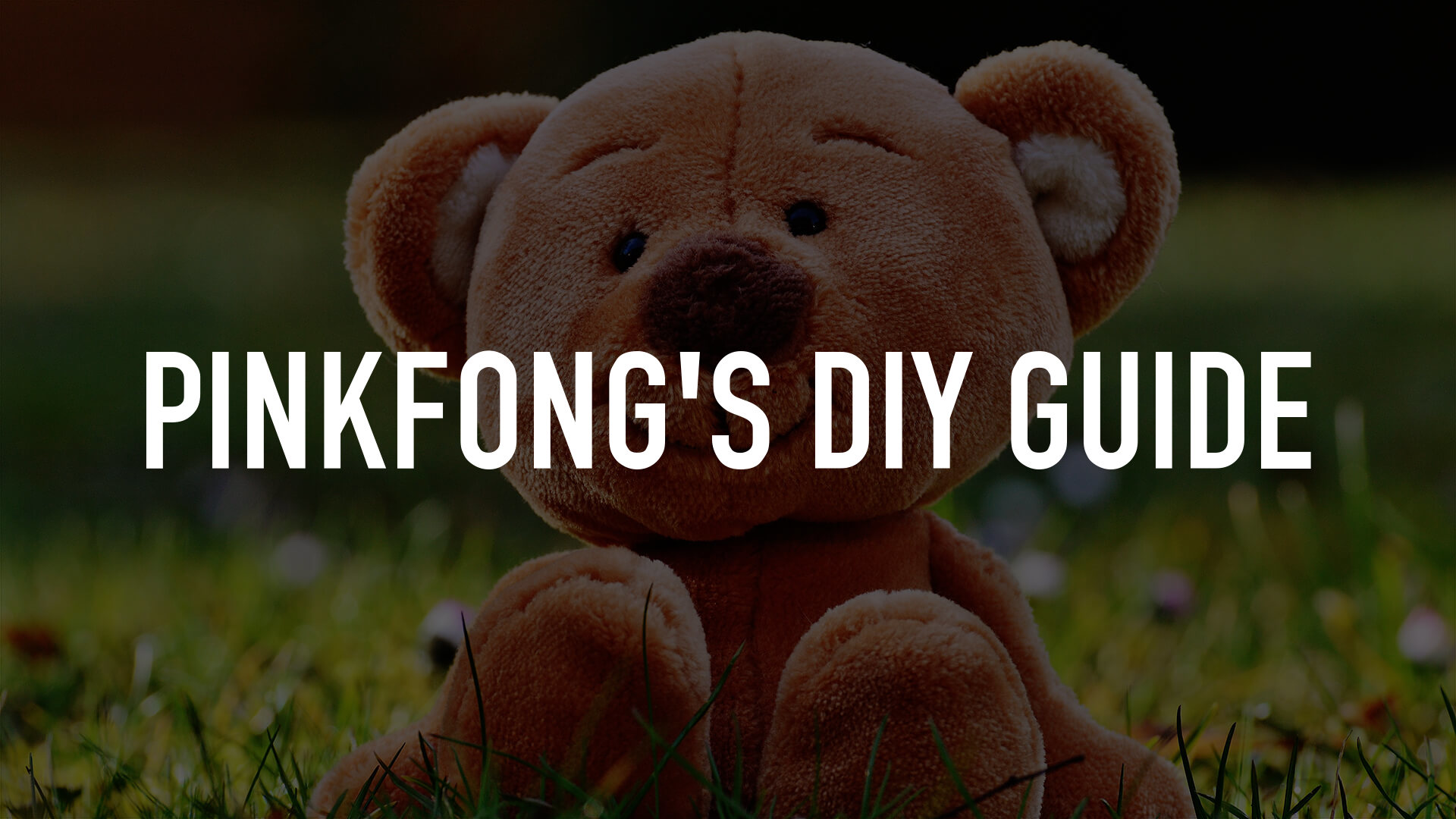 Pinkfong's DIY Guide