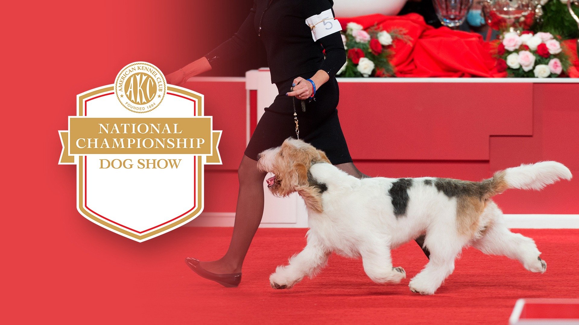 AKC National Championship Dog Show Highlights