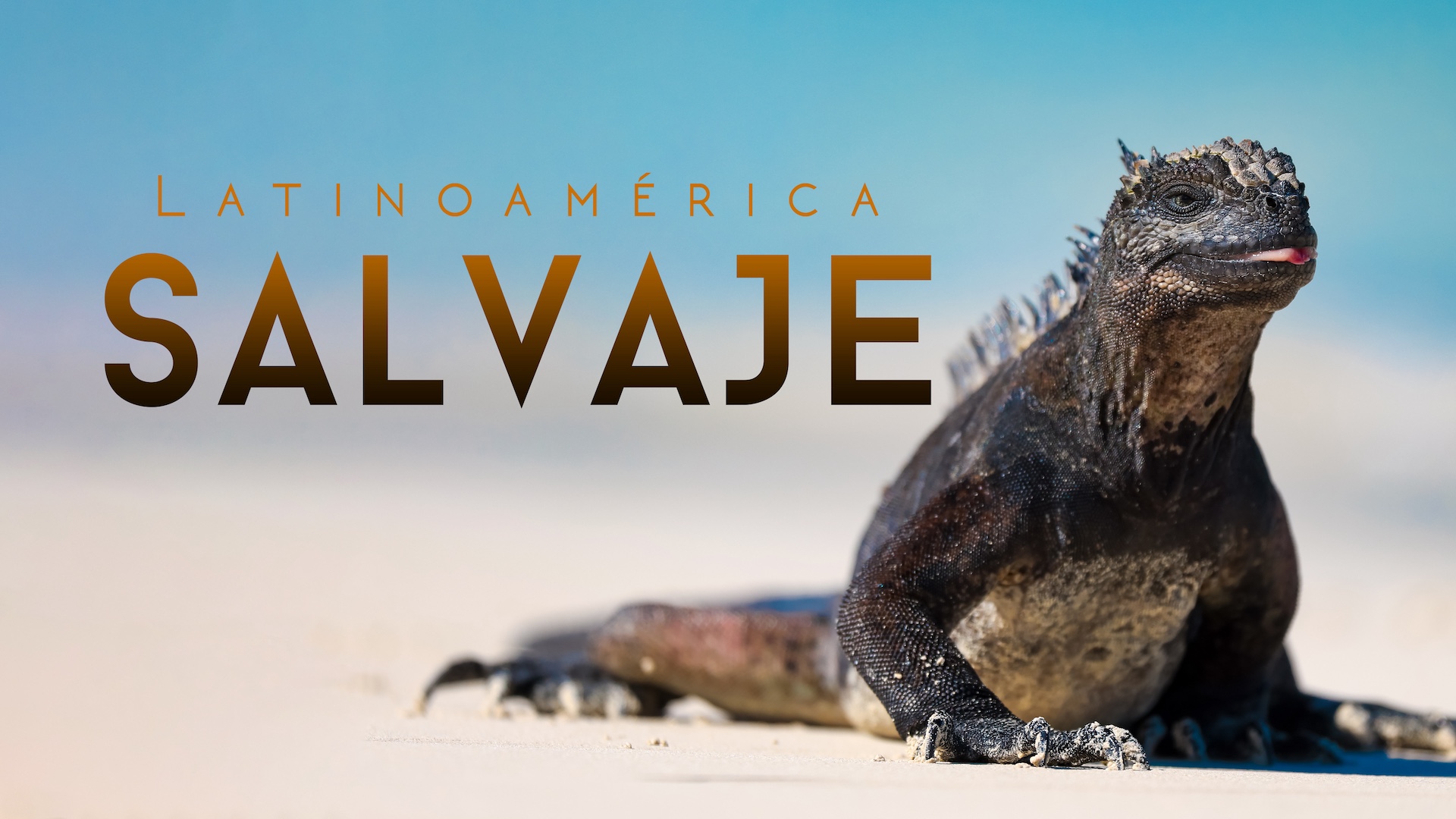 Latinoamérica salvaje