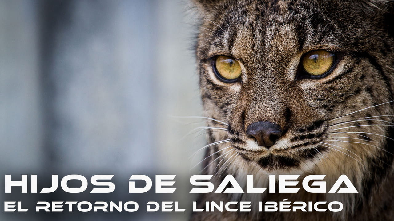 Hijos de Saliega, el Retorno del Lince Ibérico