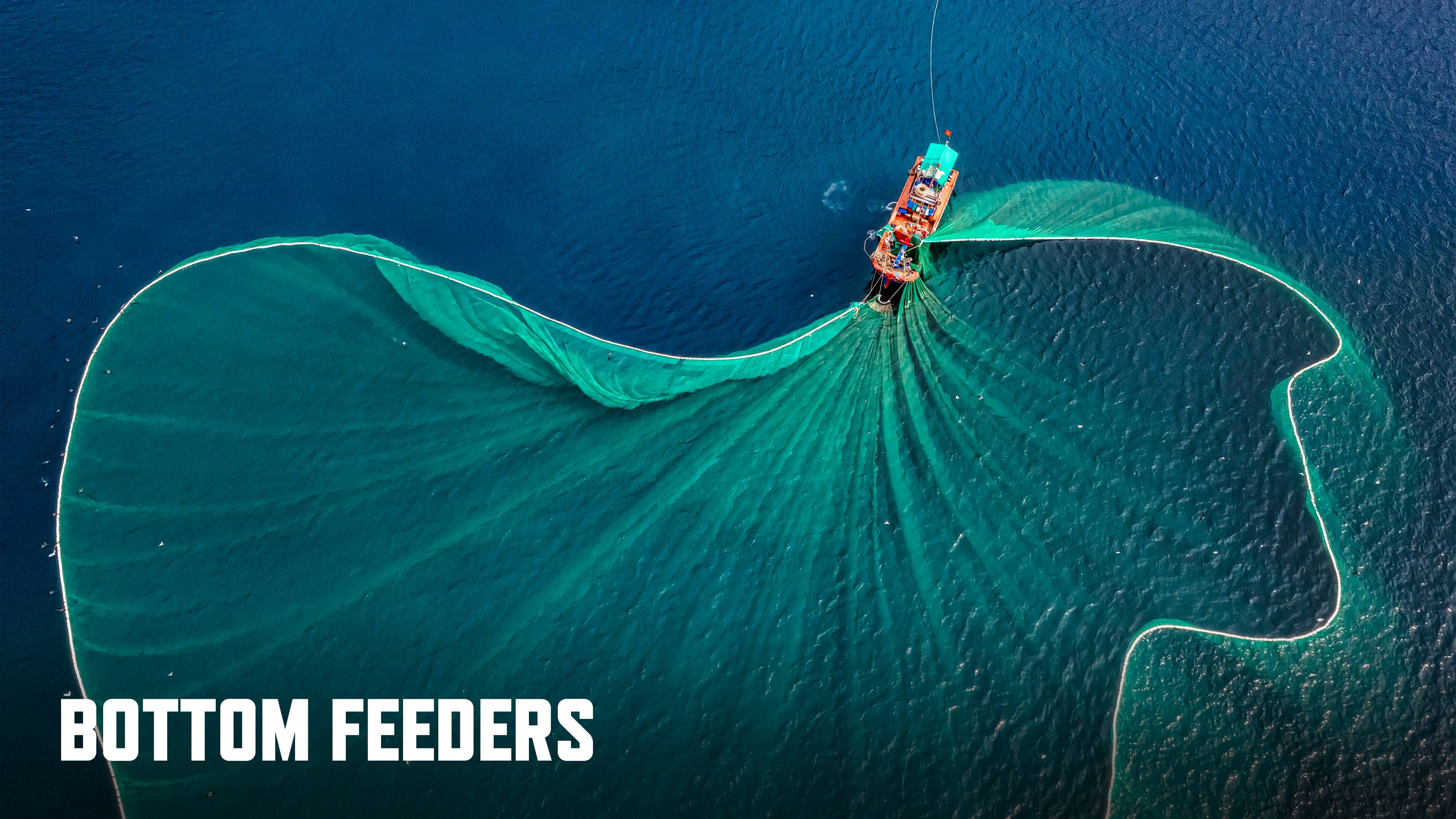 Bottom Feeders