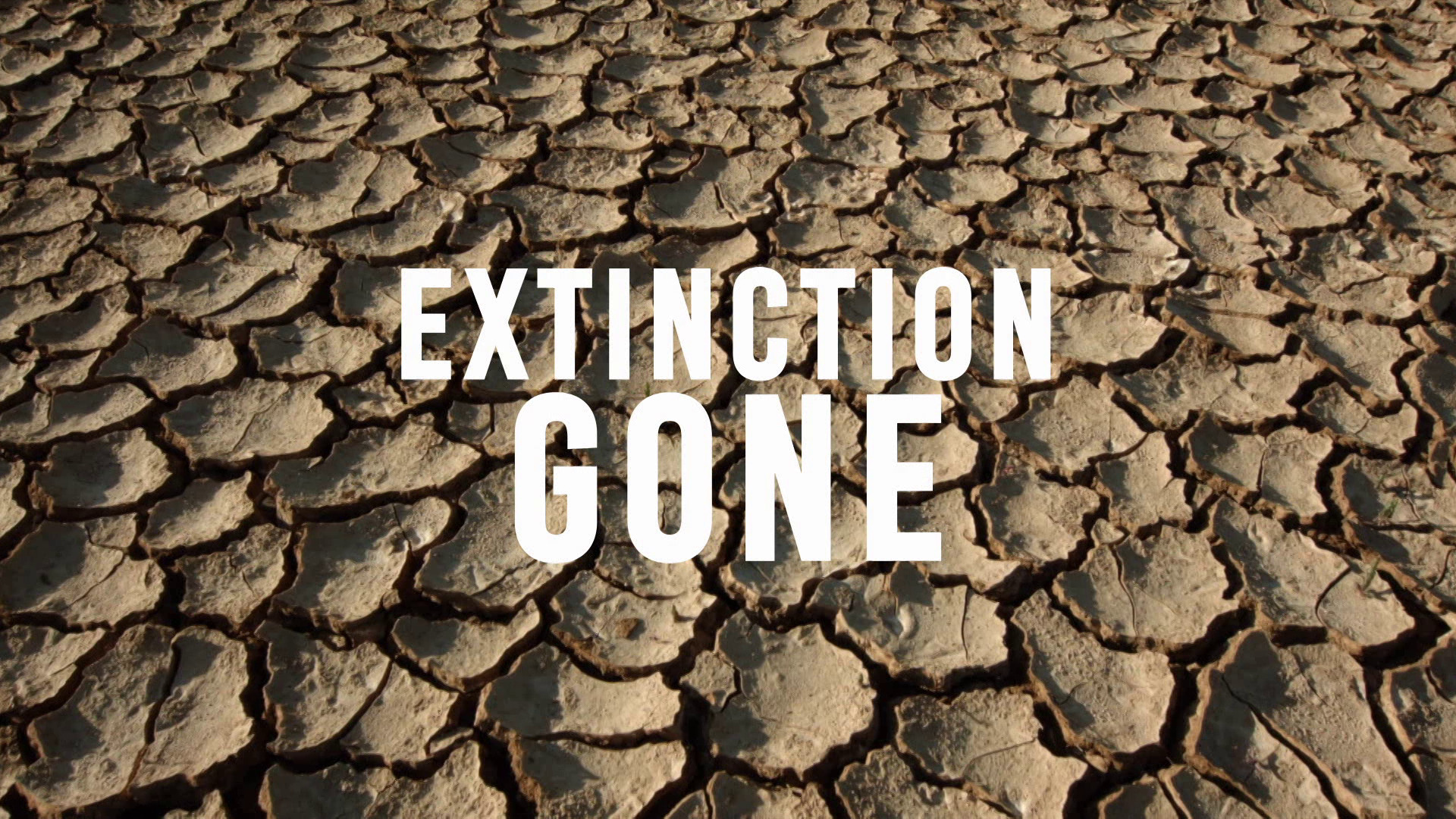 Extinction! Going, Going, Gone