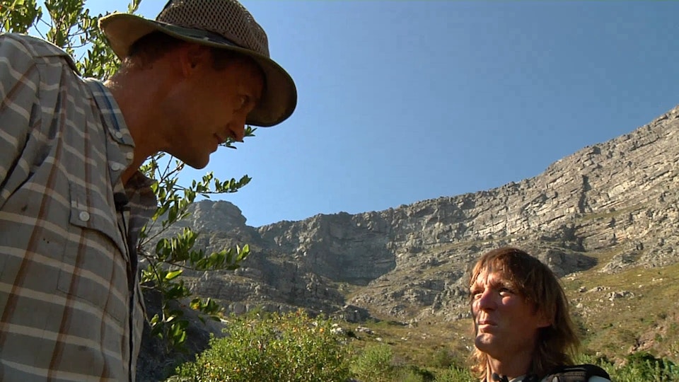 Africa From Cape To Kruger