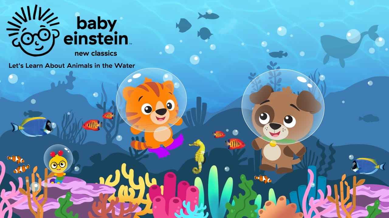 Baby Einstein