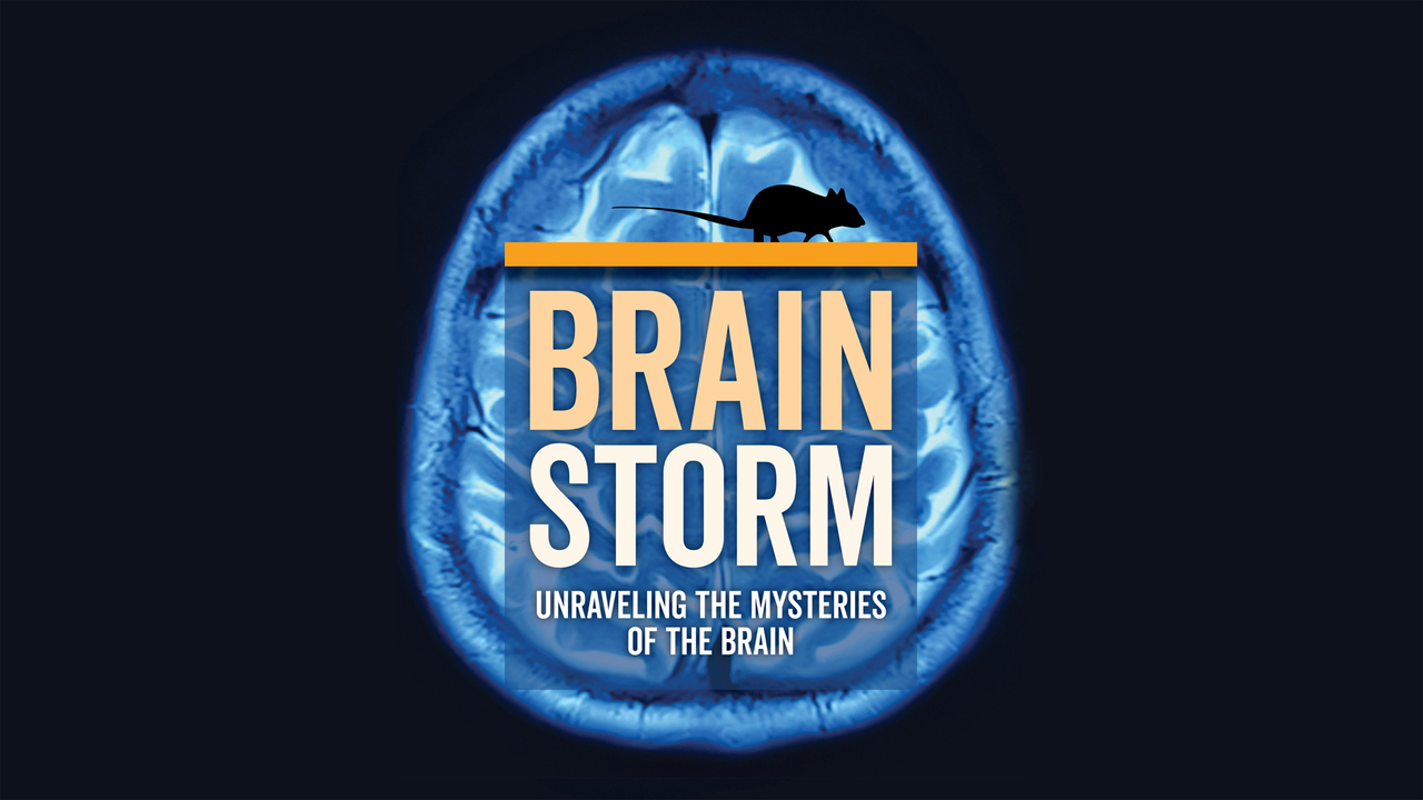 Brainstorm: Unraveling the Mysteries of the Brain