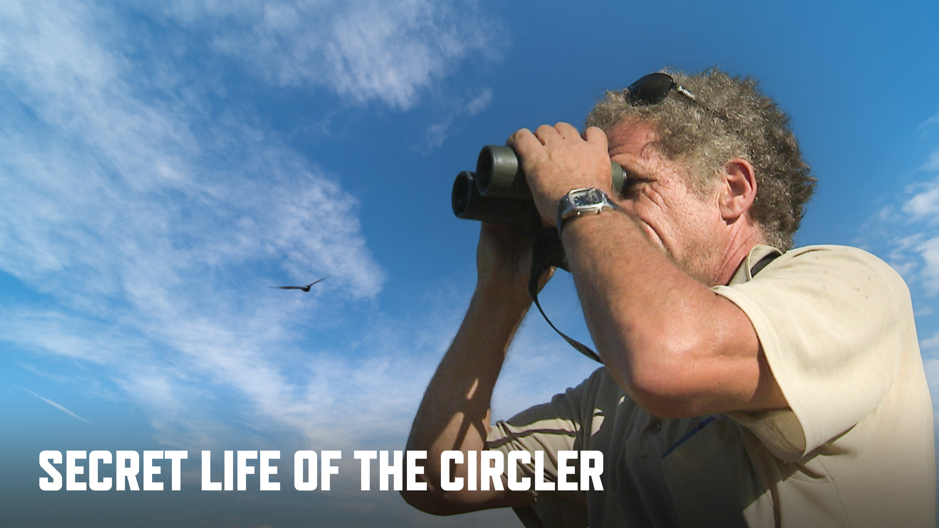 Secret Life Of The Circler