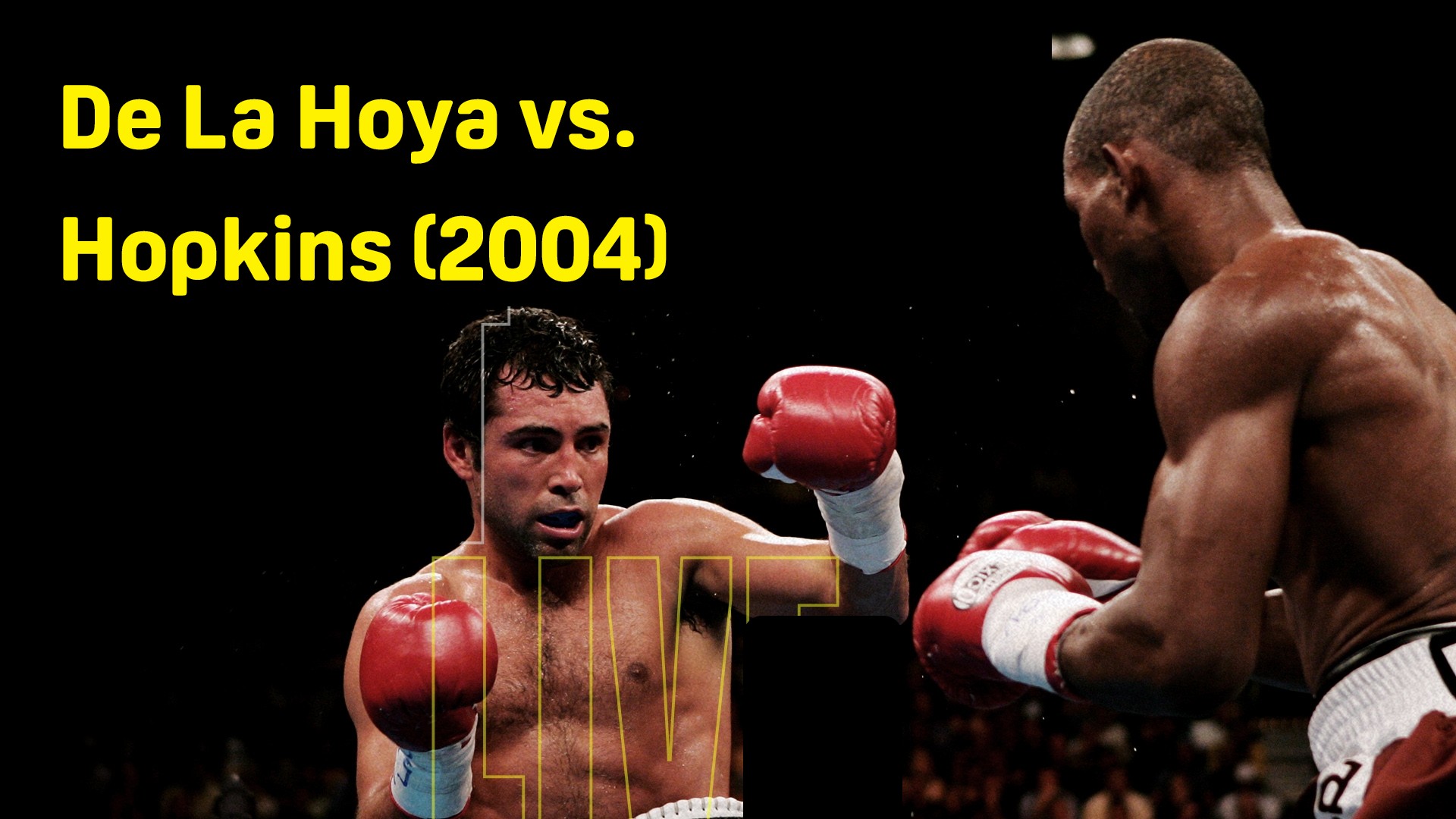 De La Hoya vs. Hopkins (2004)