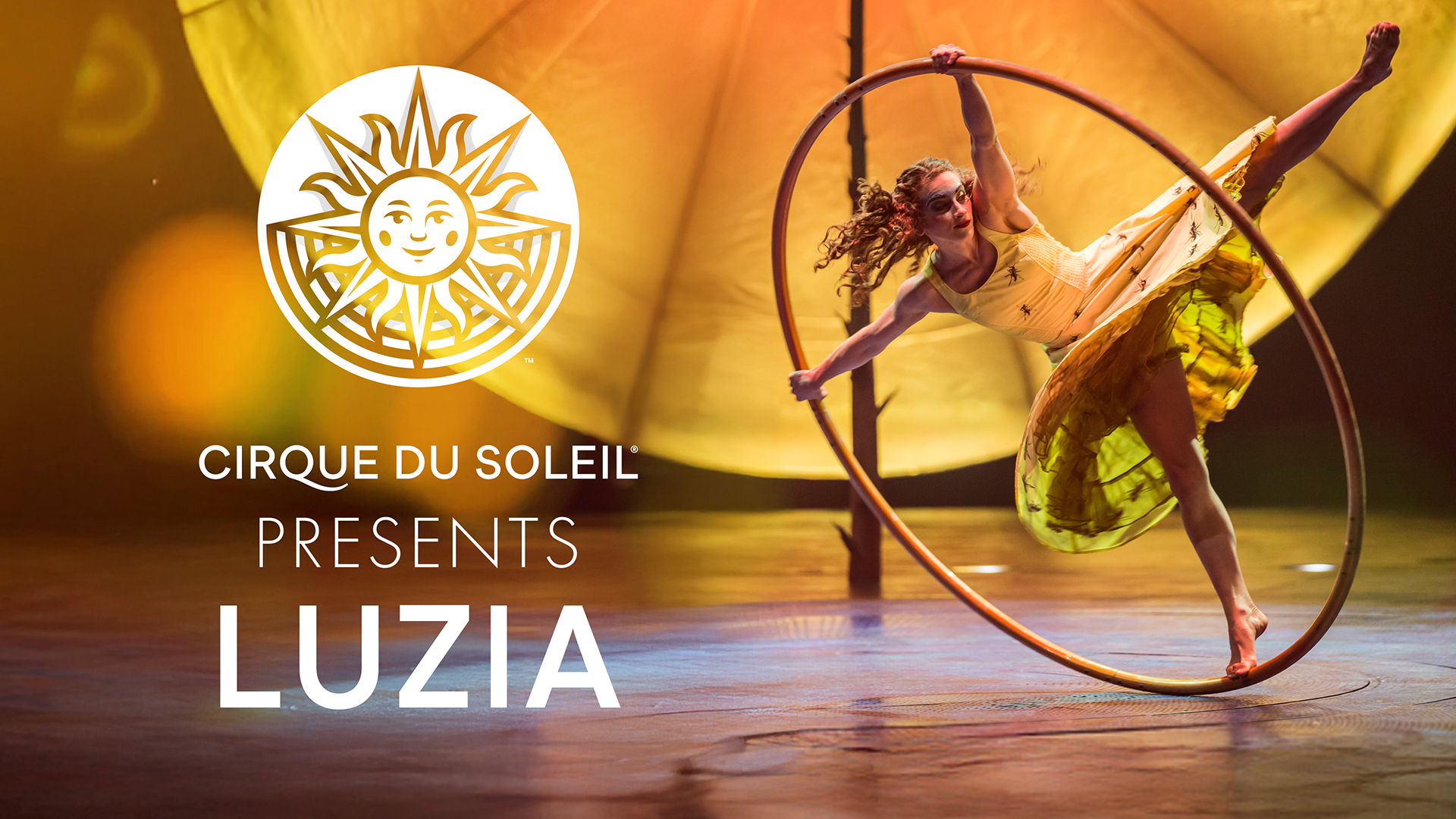 Cirque Presents: Luzia