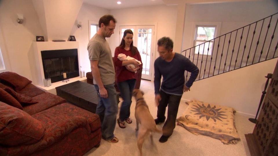 El encantador de perros