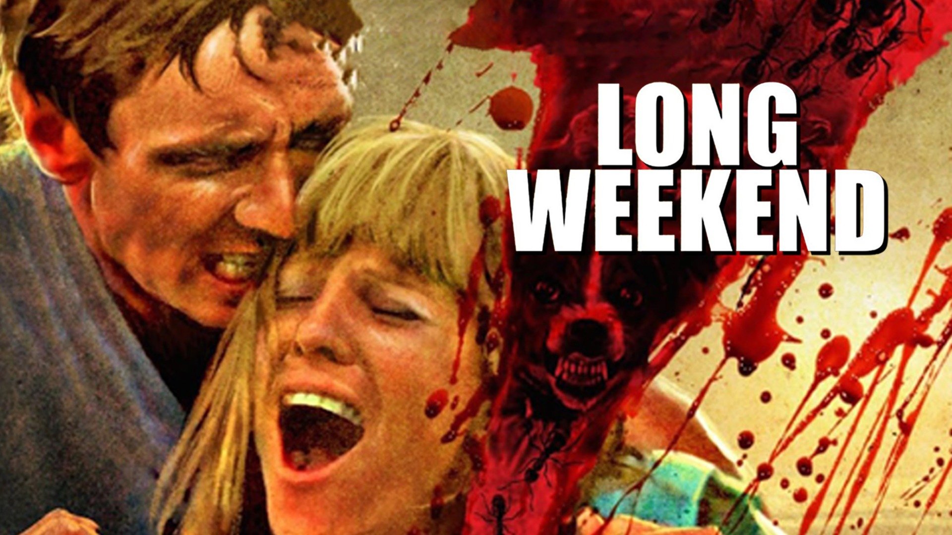 Long Weekend