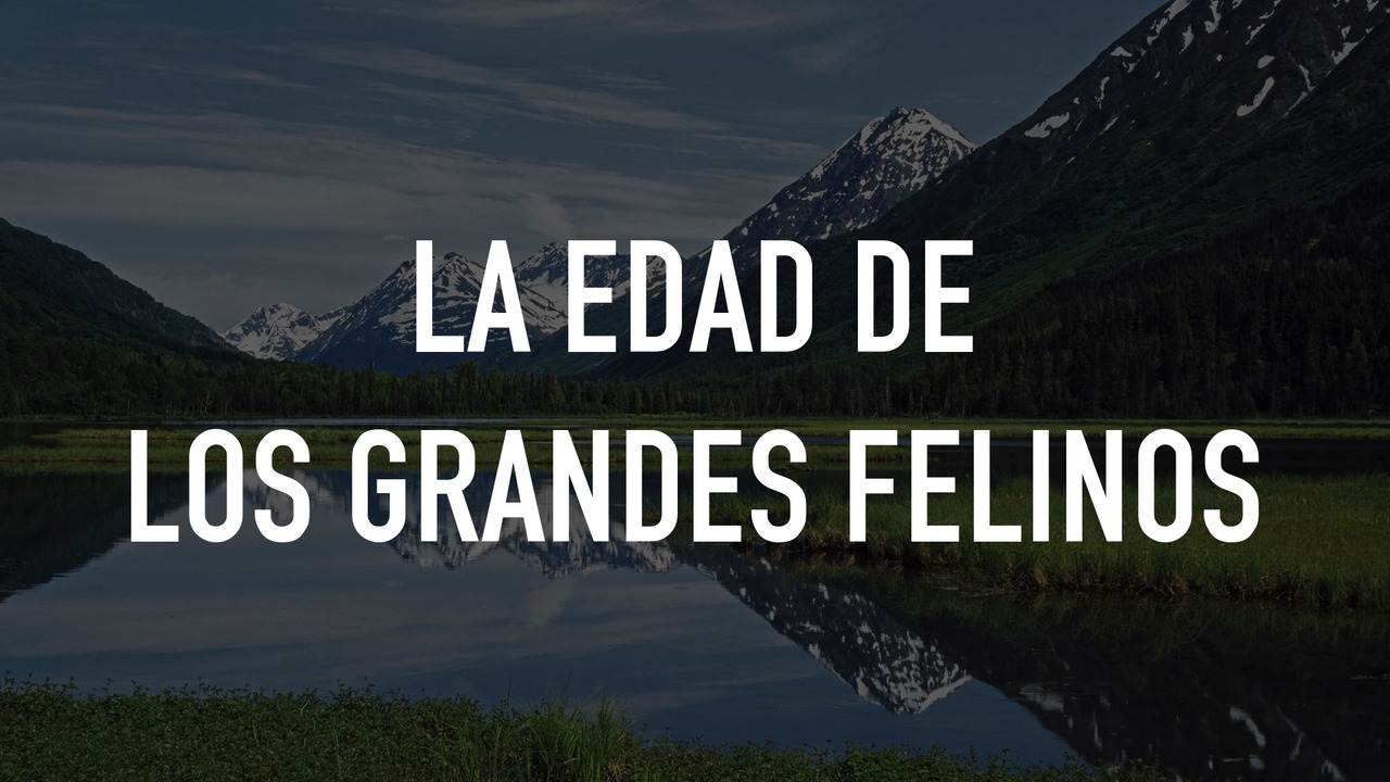 La edad de los grandes felinos: Dominación mundial