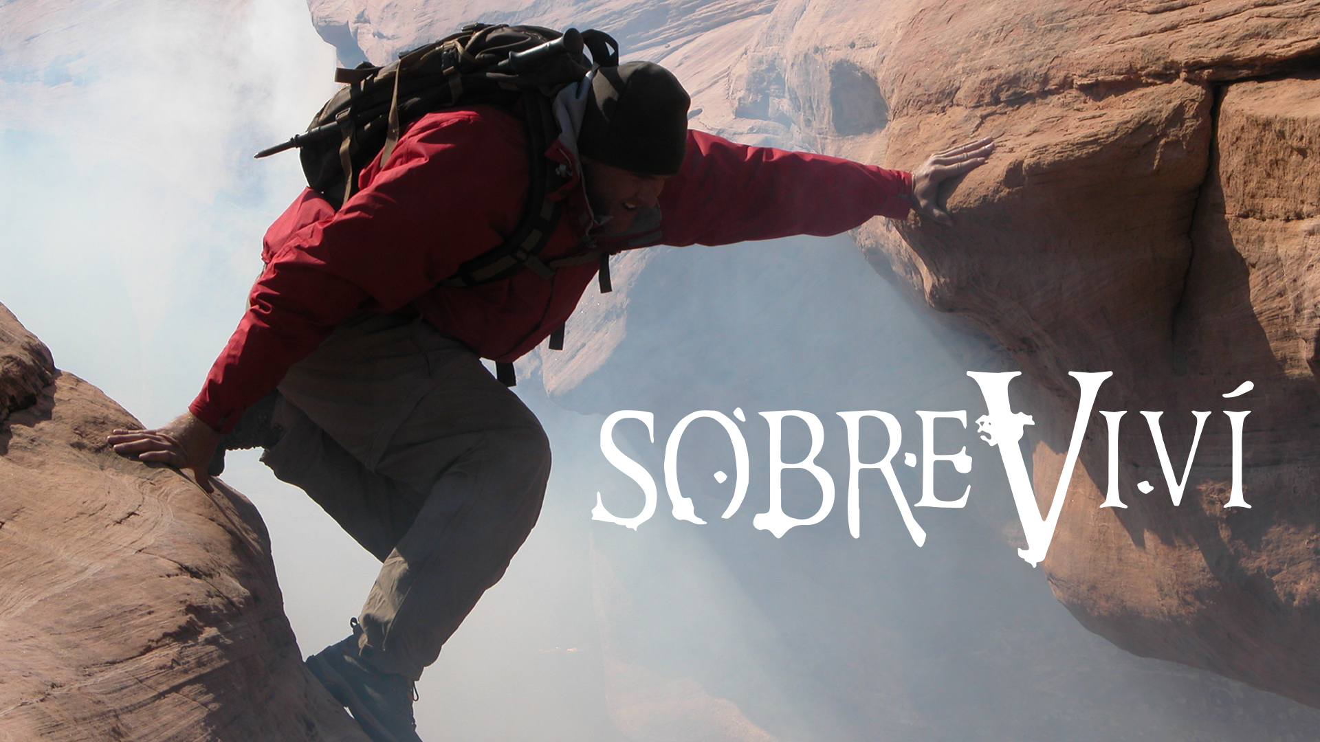 Sobreviví