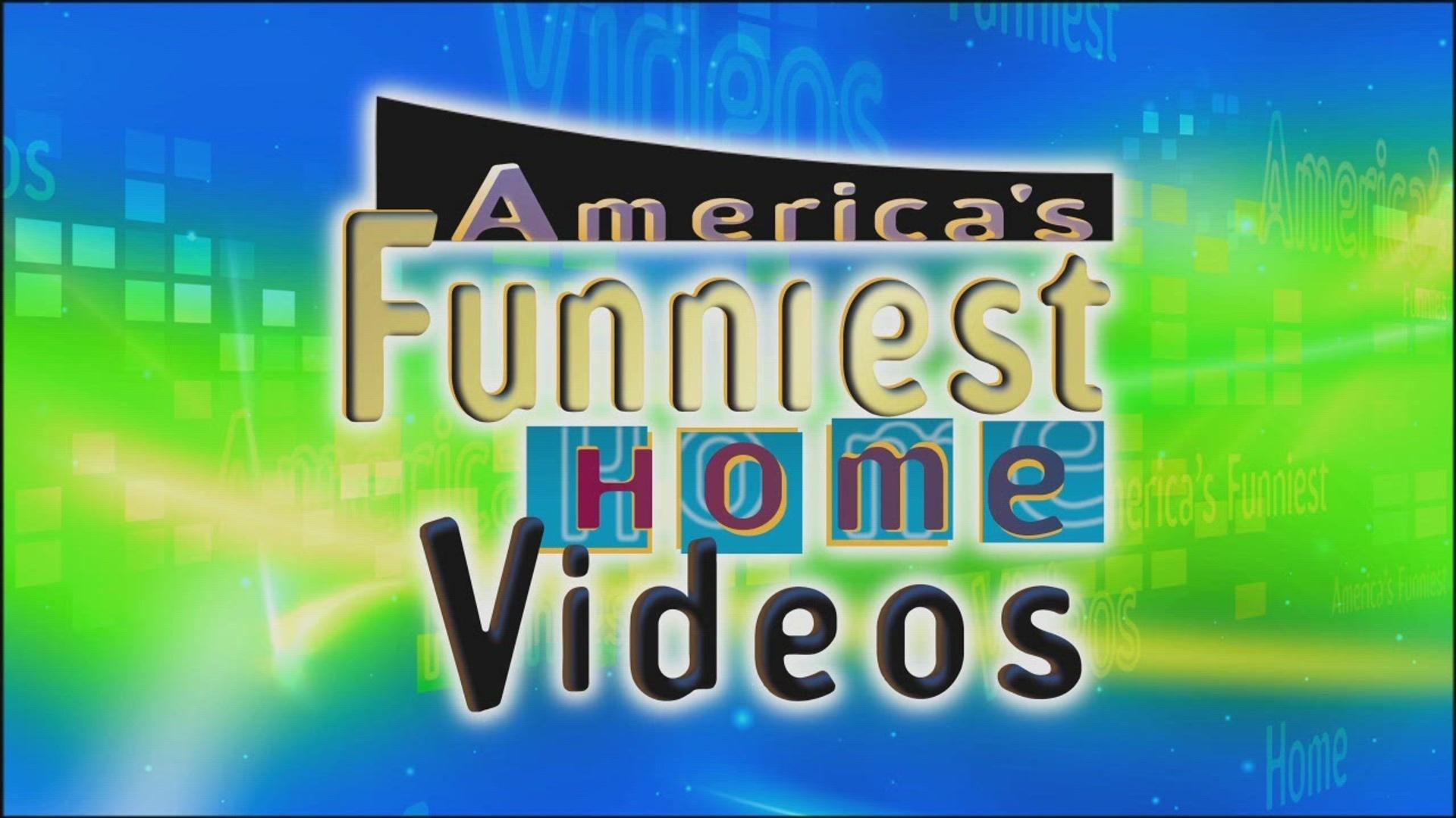 America's Funniest Home Videos