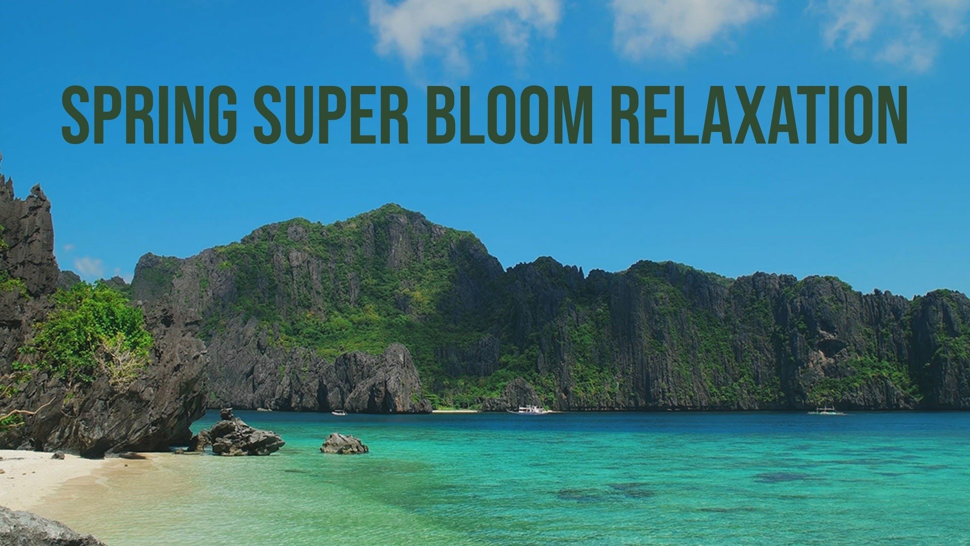 Spring Super Bloom Relaxation