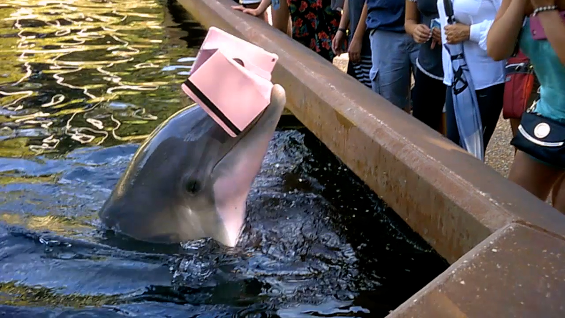 World's Most Expensive Fails