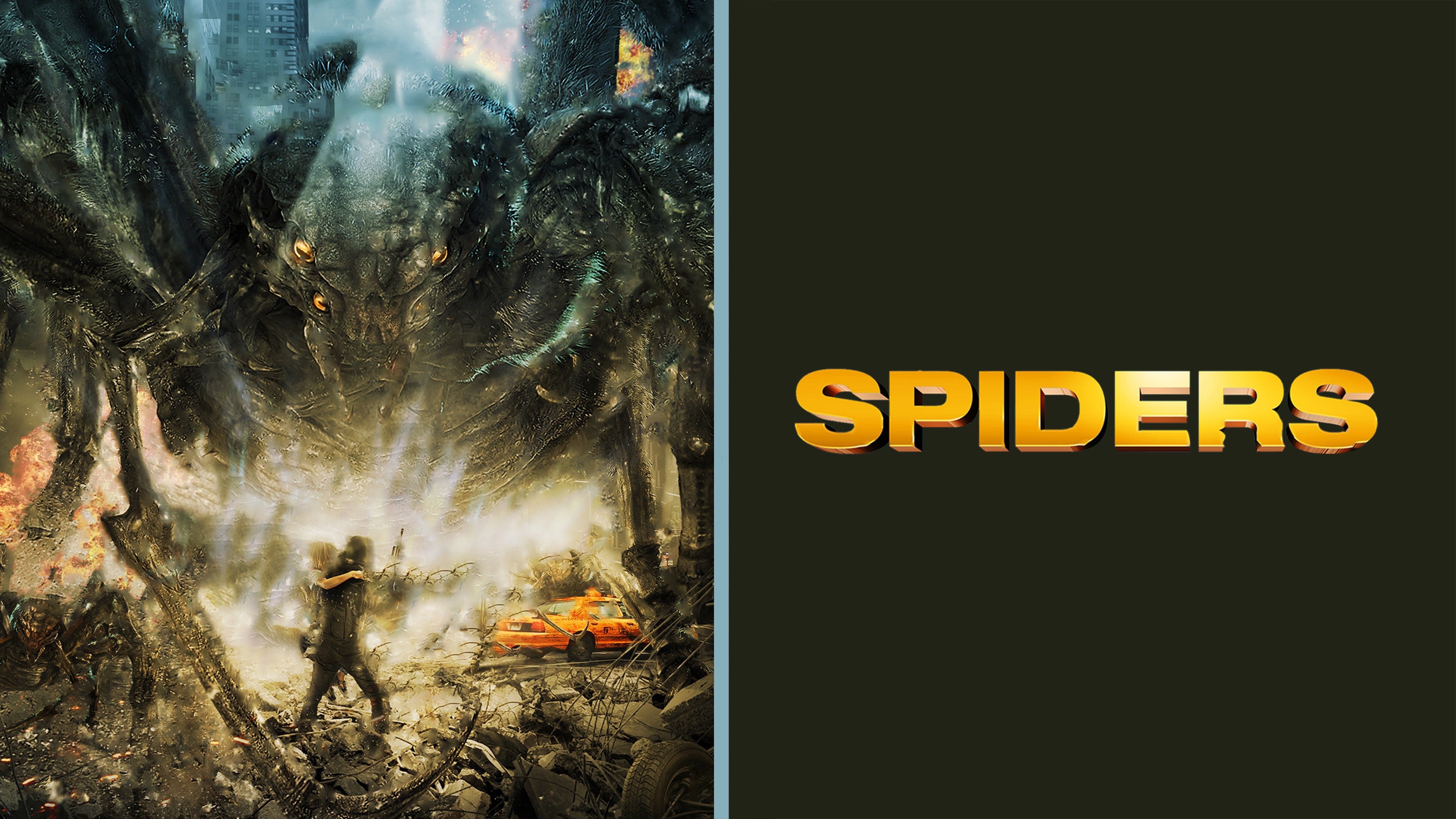 Spiders
