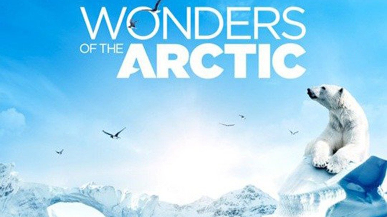 Wonders of the Arctic