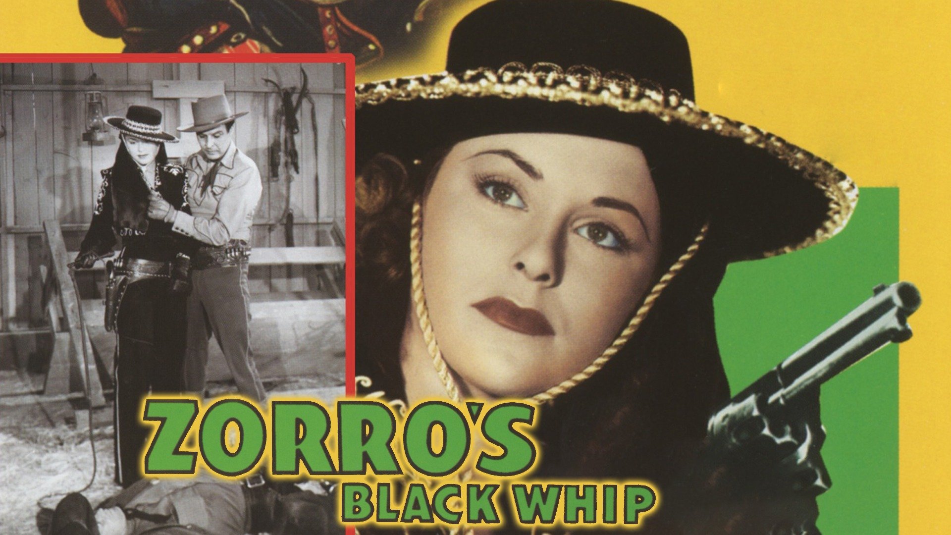 Zorro's Black Whip