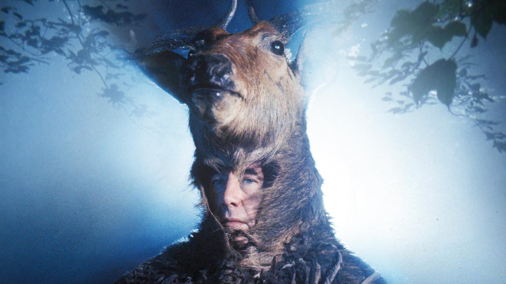 Robin Hood (Robin of Sherwood)