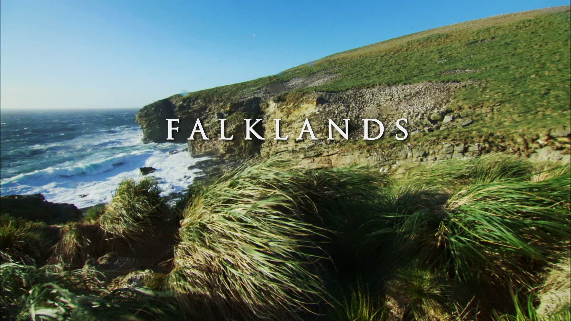 Destination Wild: Wild Islands