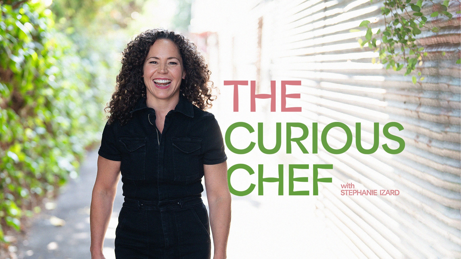The Curious Chef