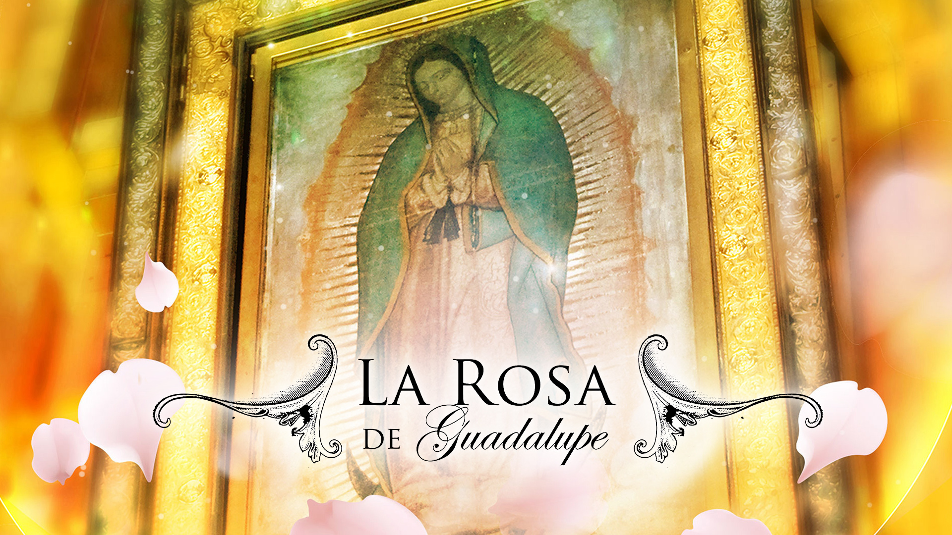 The Rose of Guadalupe