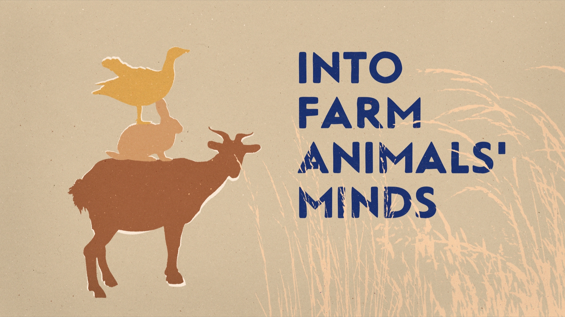 Into Farm Animals Minds