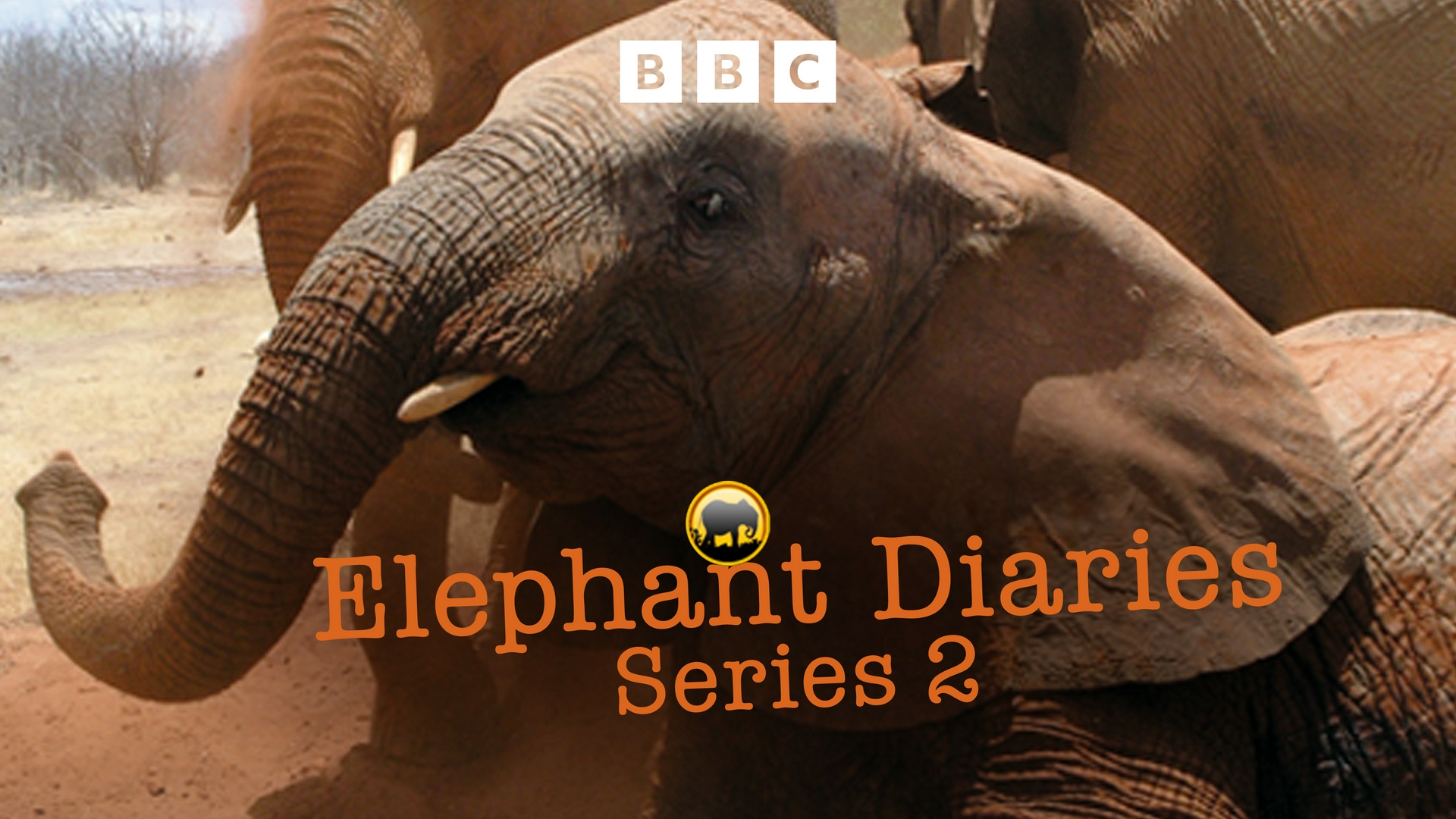 Tagebuch der Elefanten Folge 3