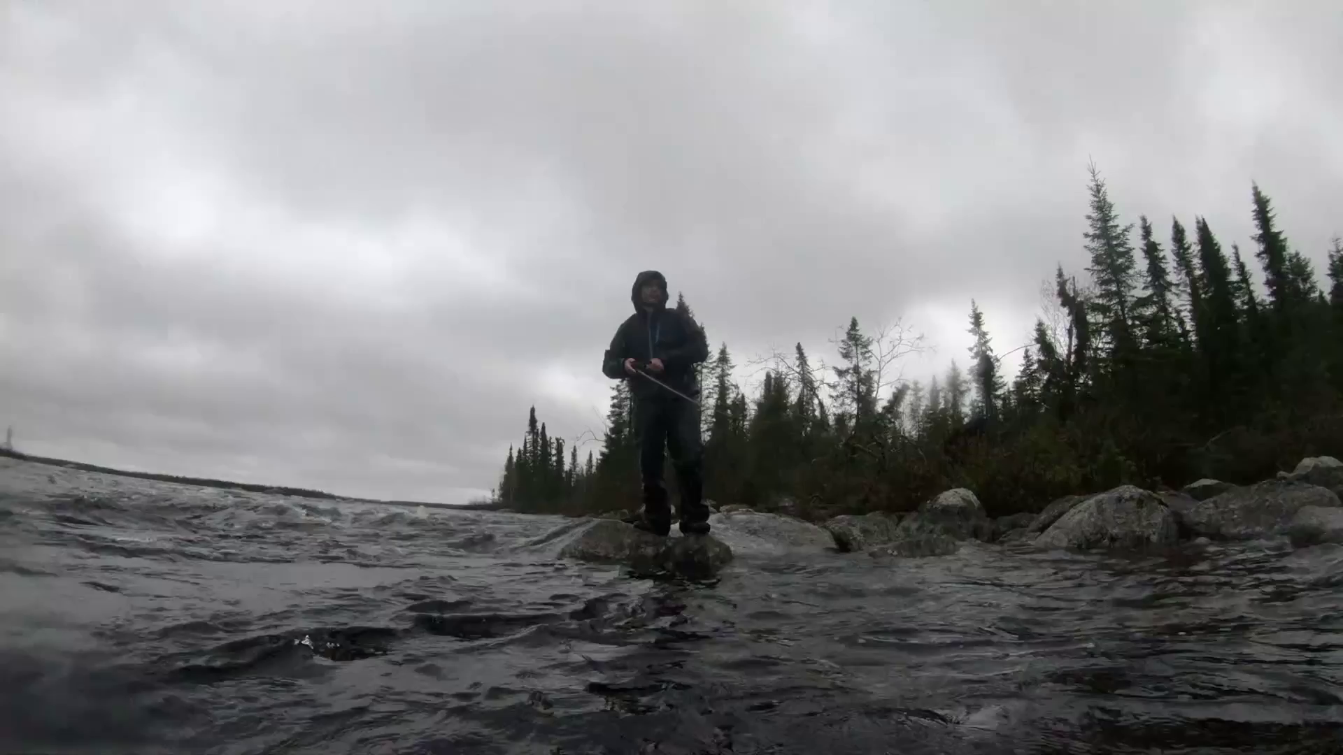 Pêche XXL : Cannibale à sang froid