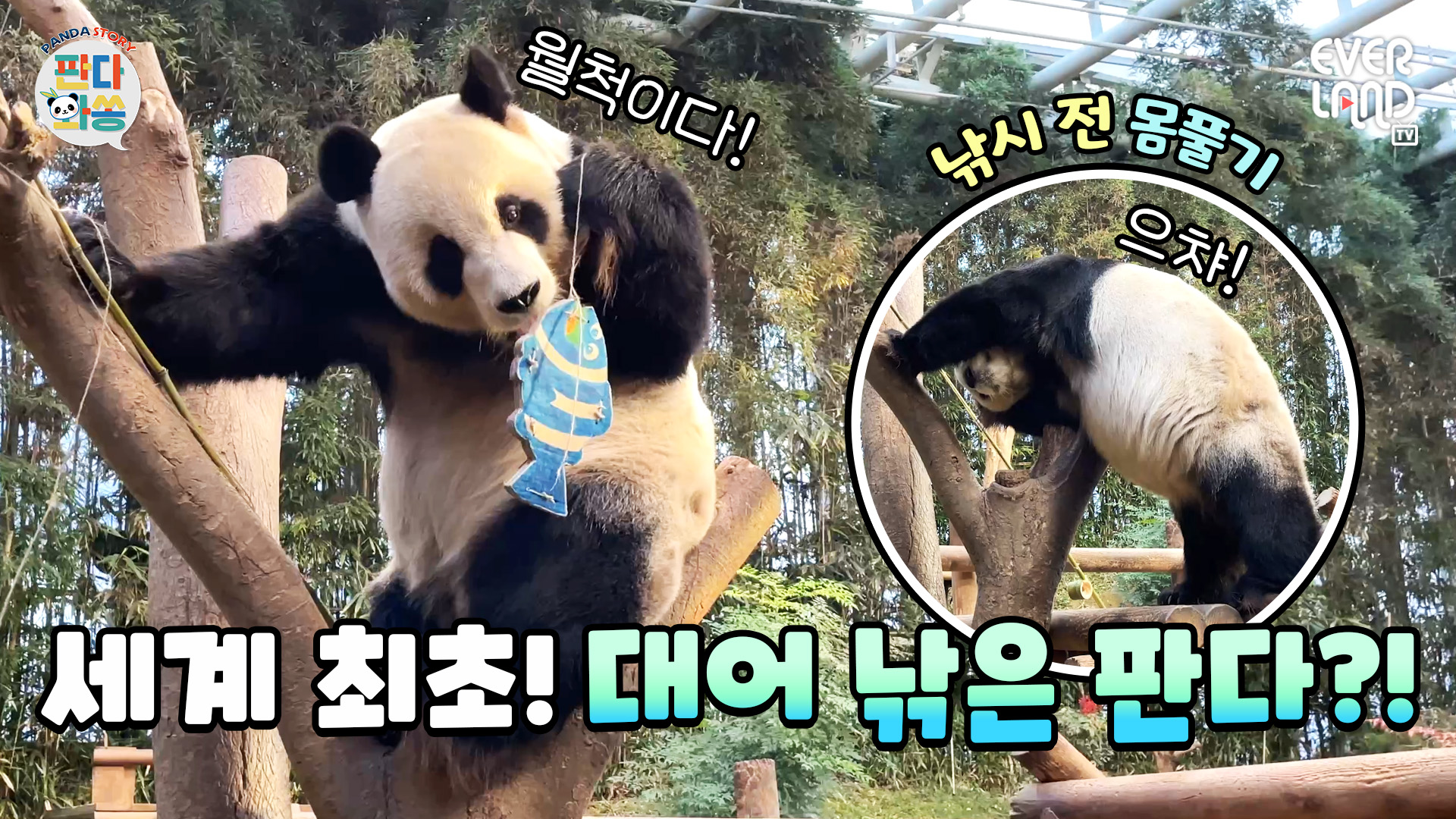 낚시왕 러바오 79회