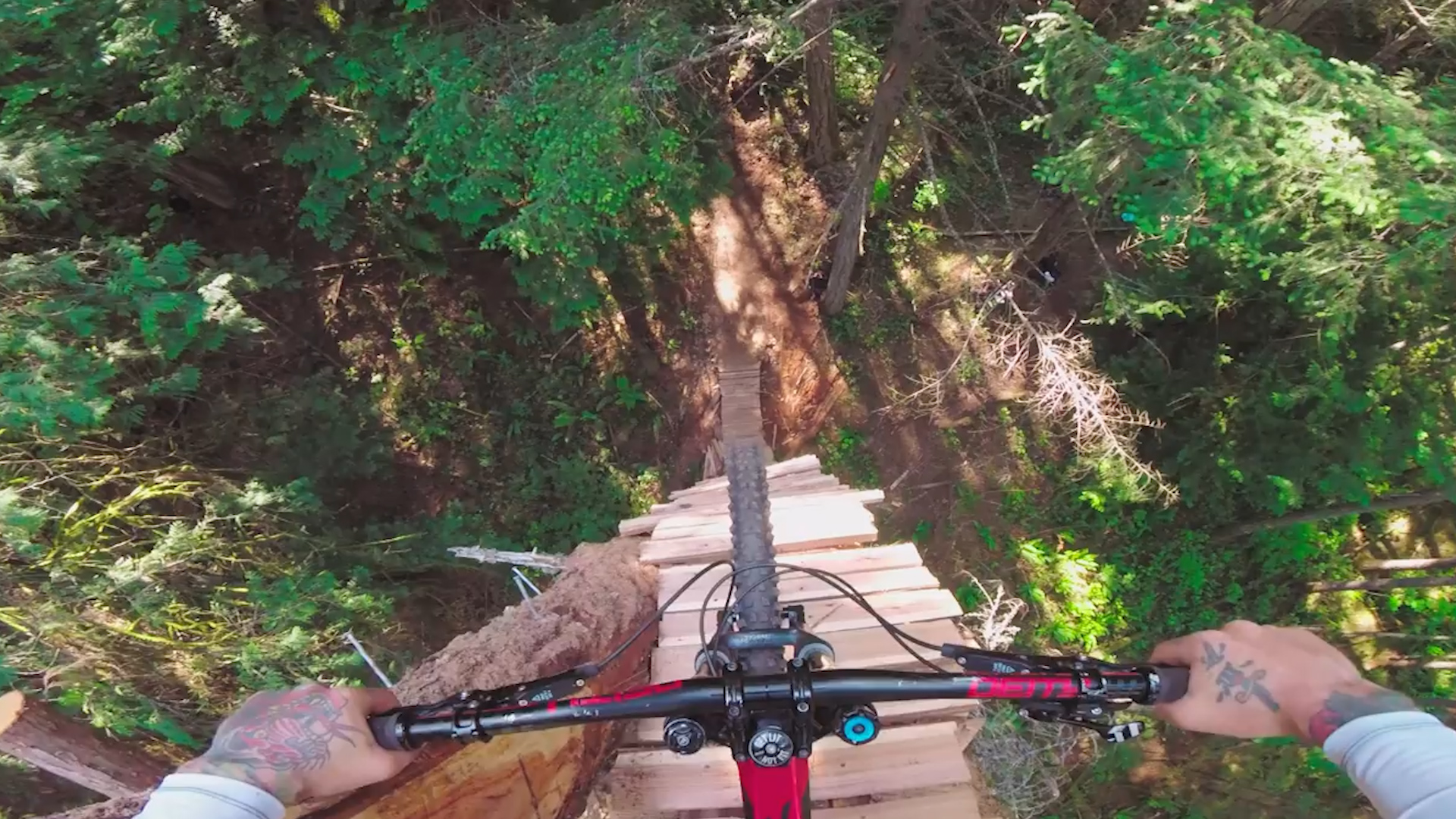 Showcase | All Around Athletes