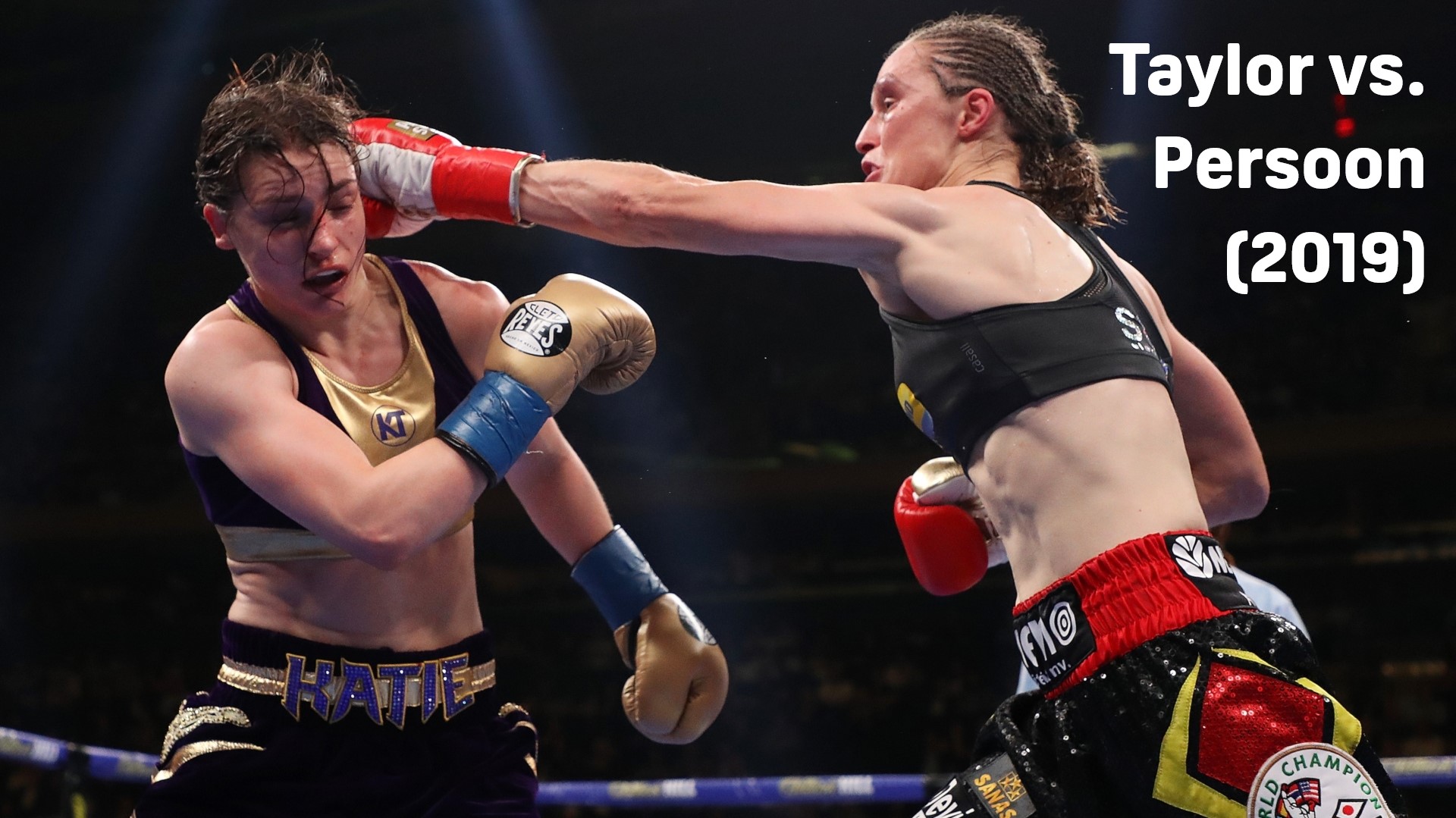 Taylor vs. Persoon (2019)