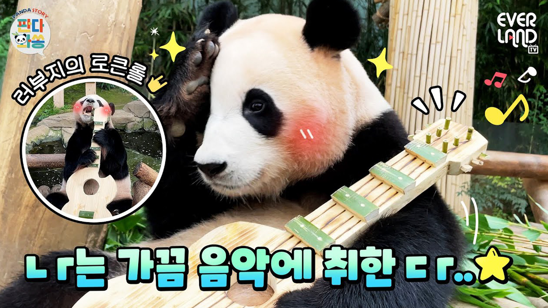 (소장각) 판다월드 락 페스티벌 현장~ 59회