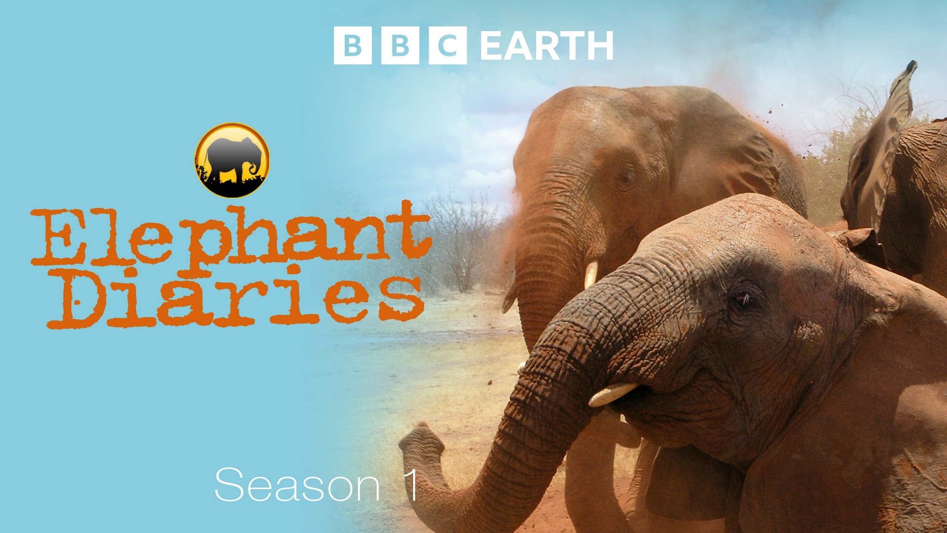 La vie des éléphants Saison 1, épisode 1