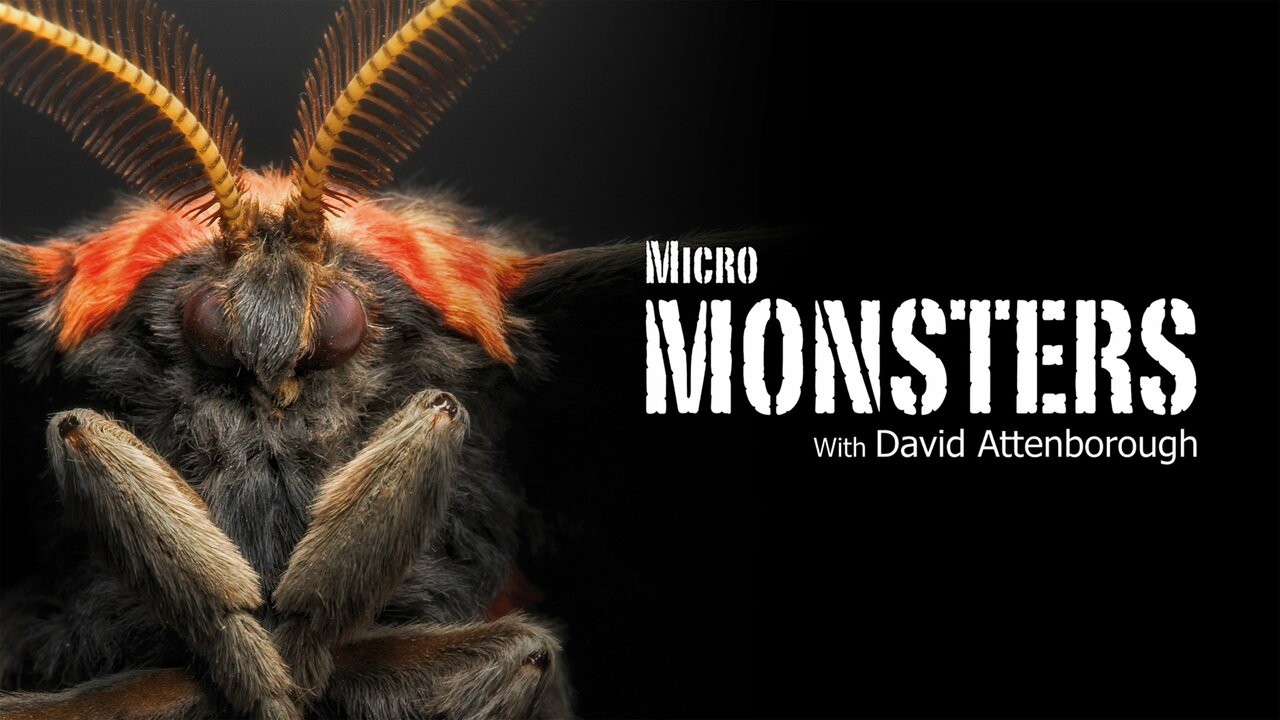 Micro Monsters With David Attenborough