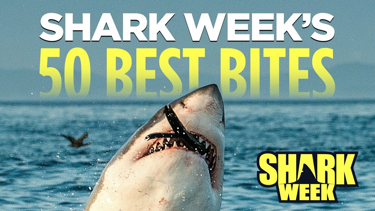 Shark Week's 50 Best Bites