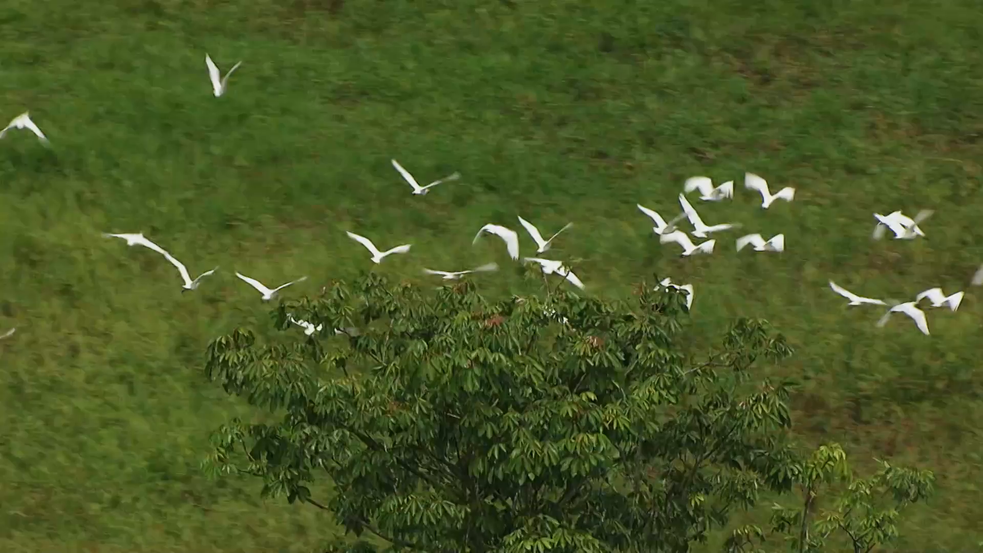 Les 10 catastrophes qui ont marqué la planète