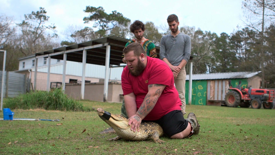 Brothers Green: EATS!