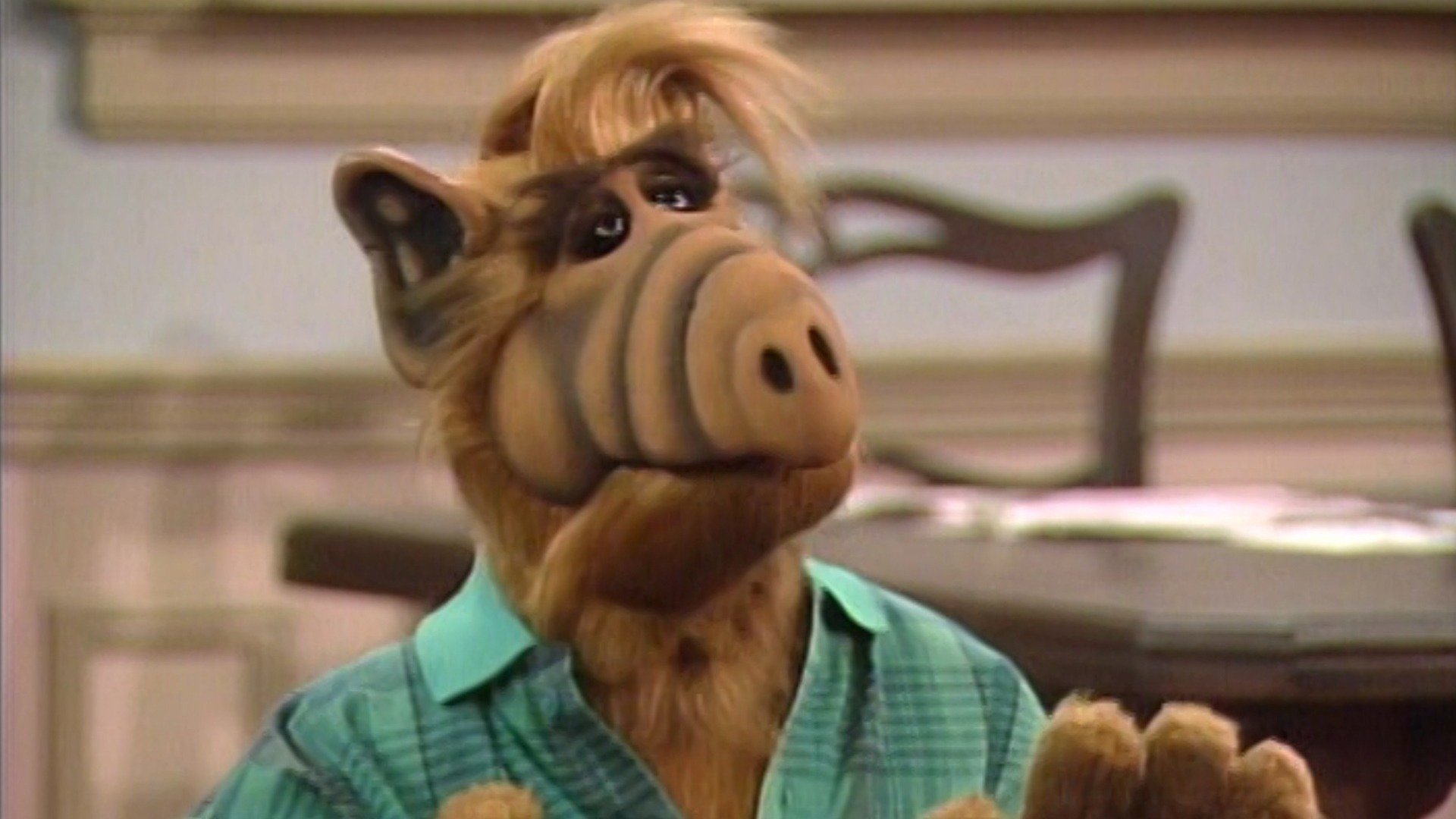 ALF