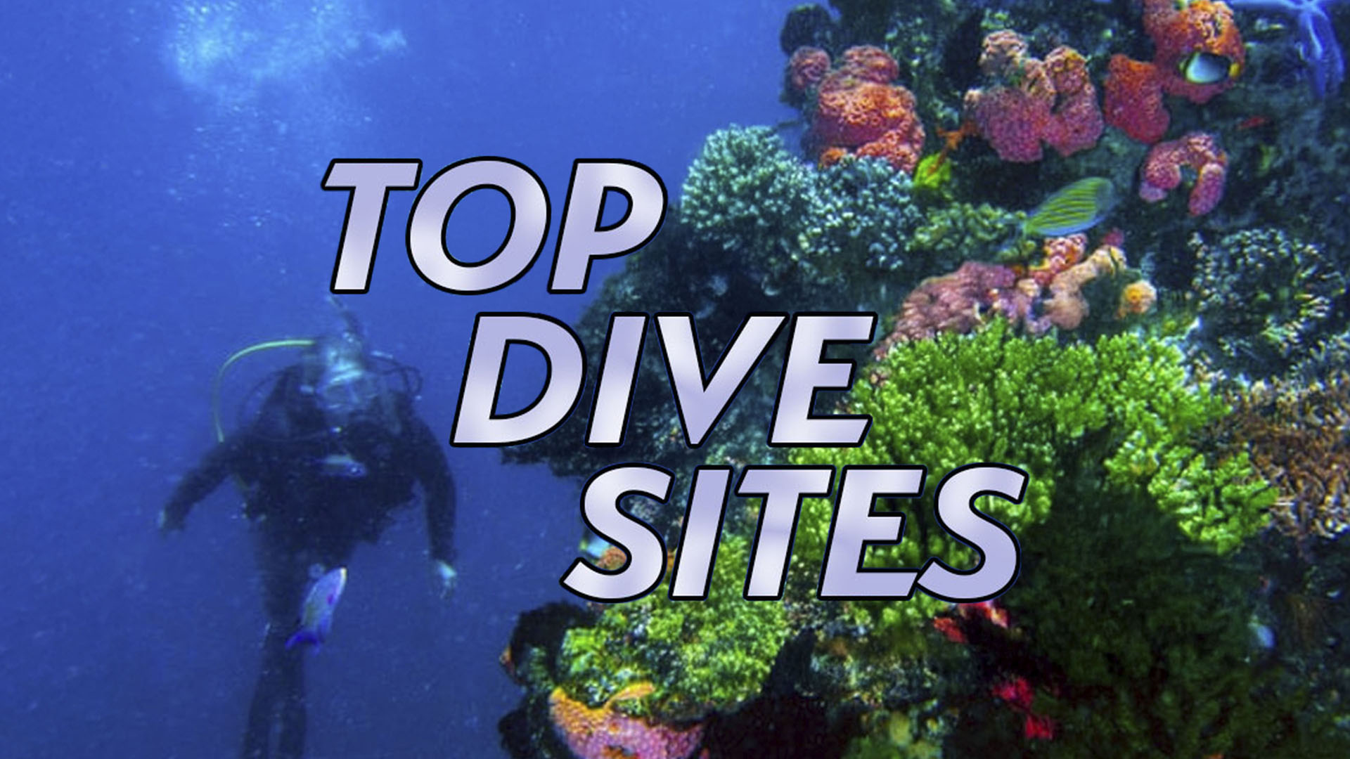 Top Dive Sites